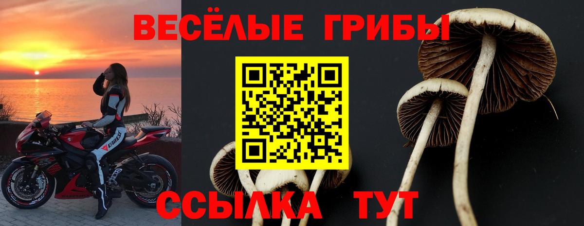 Галлюциногенные грибы Magic Shrooms Шали